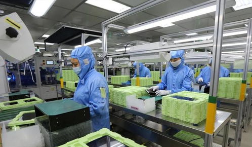 东莞封装厂断供，荷兰急求合作解禁